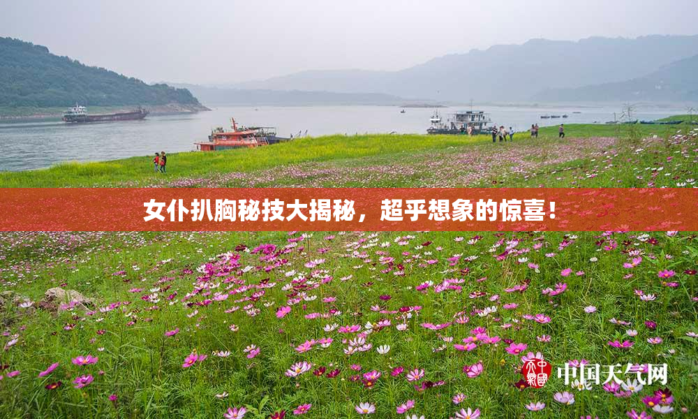 女仆扒胸秘技大揭秘，超乎想象的惊喜！