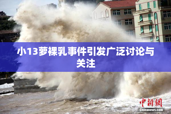 小13萝裸乳事件引发广泛讨论与关注