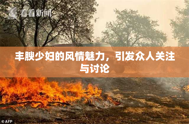丰腴少妇的风情魅力，引发众人关注与讨论