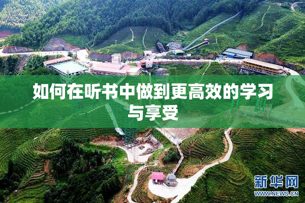 如何在听书中做到更高效的学习与享受