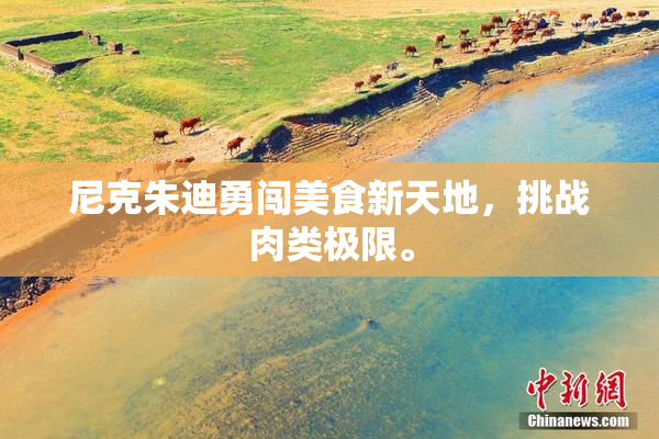 尼克朱迪勇闯美食新天地，挑战肉类极限。