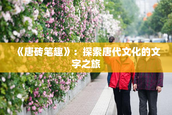 《唐砖笔趣》：探索唐代文化的文字之旅