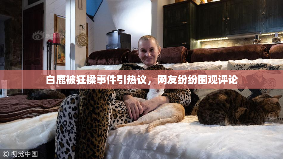 白鹿被狂揉事件引热议，网友纷纷围观评论