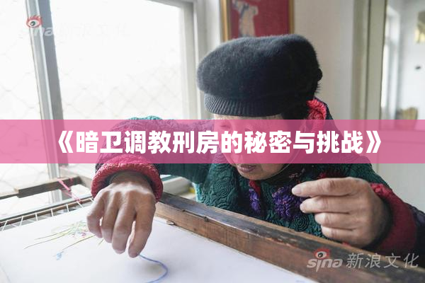 《暗卫调教刑房的秘密与挑战》