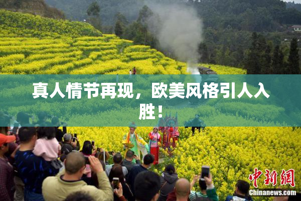 真人情节再现，欧美风格引人入胜！