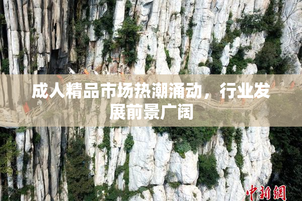 成人精品市场热潮涌动，行业发展前景广阔