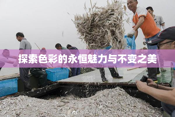 探索色彩的永恒魅力与不变之美