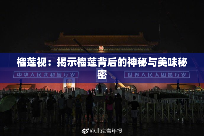 榴莲视：揭示榴莲背后的神秘与美味秘密