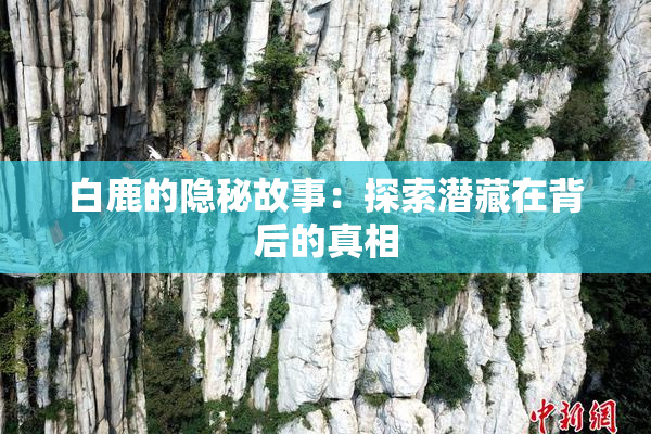 白鹿的隐秘故事：探索潜藏在背后的真相