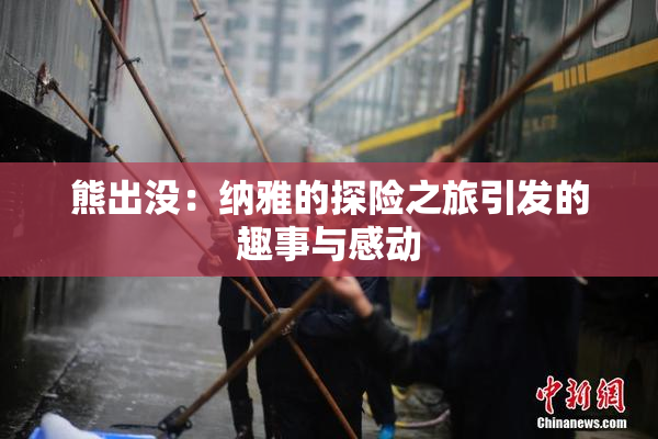 熊出没：纳雅的探险之旅引发的趣事与感动