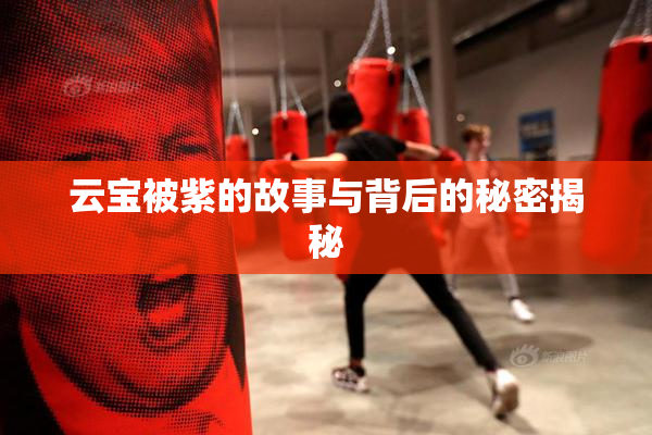 云宝被紫的故事与背后的秘密揭秘