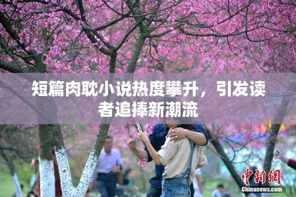 短篇肉耽小说热度攀升，引发读者追捧新潮流