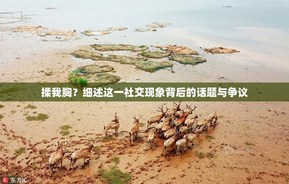 揉我胸？细述这一社交现象背后的话题与争议