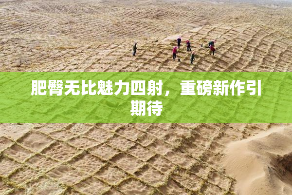 肥臀无比魅力四射，重磅新作引期待