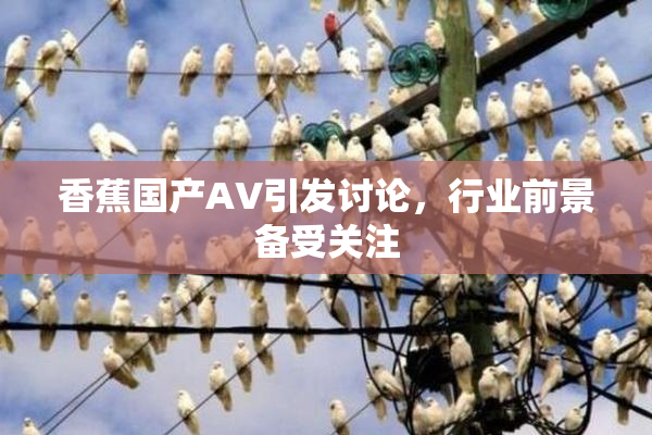 香蕉国产AV引发讨论，行业前景备受关注