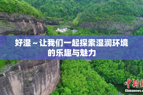 好湿～让我们一起探索湿润环境的乐趣与魅力
