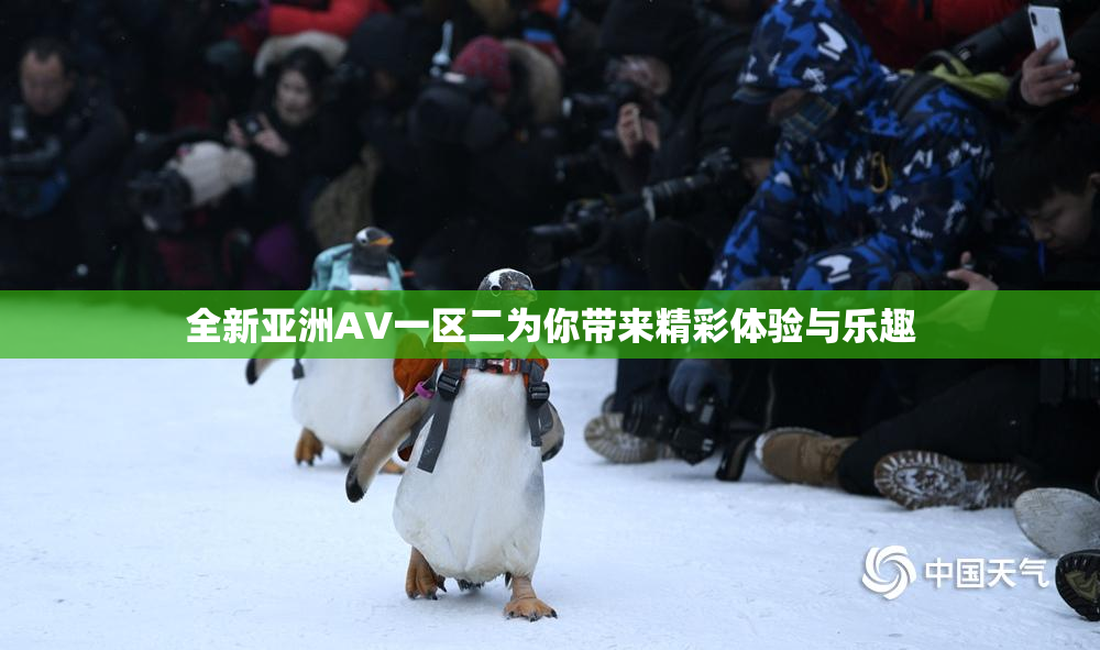 全新亚洲AV一区二为你带来精彩体验与乐趣