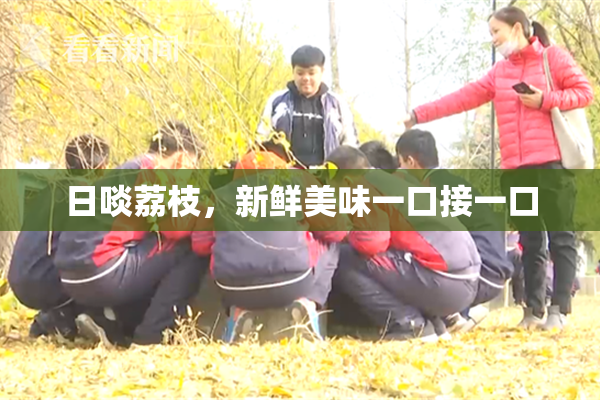 日啖荔枝，新鲜美味一口接一口