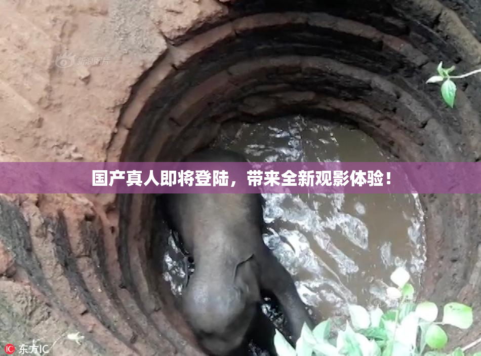 国产真人即将登陆，带来全新观影体验！
