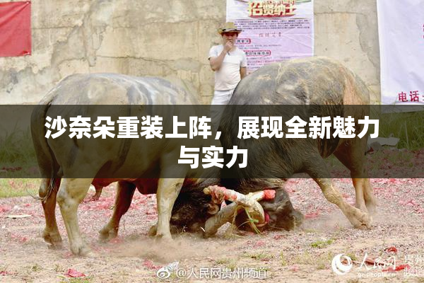 沙奈朵重装上阵，展现全新魅力与实力