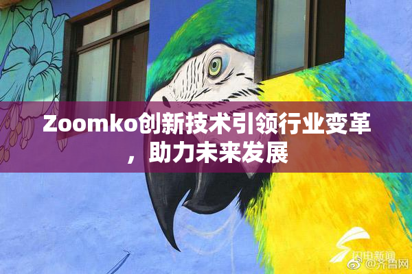Zoomko创新技术引领行业变革，助力未来发展