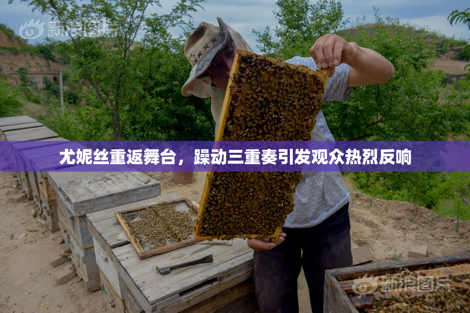 尤妮丝重返舞台，躁动三重奏引发观众热烈反响