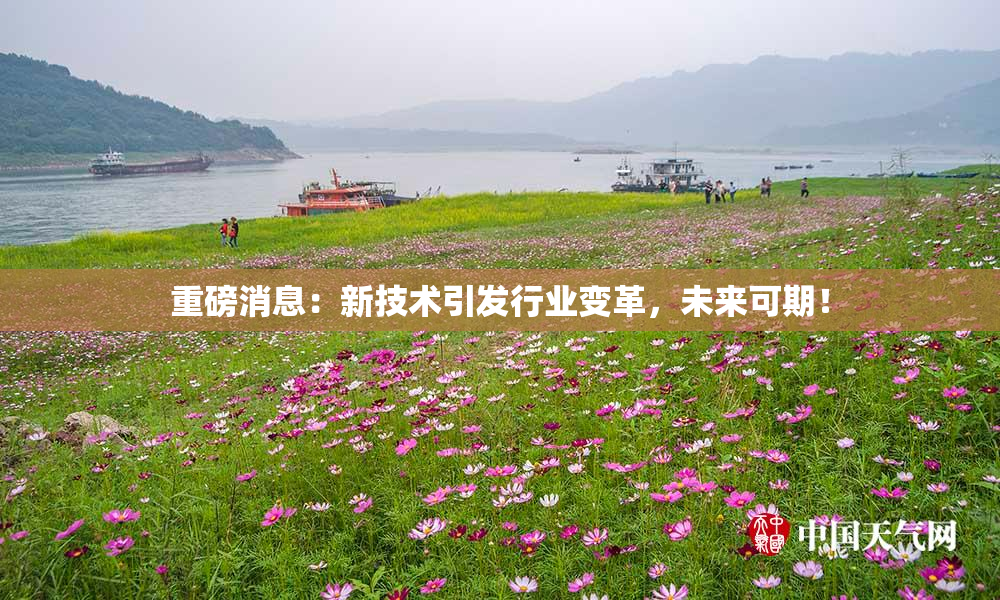 重磅消息：新技术引发行业变革，未来可期！