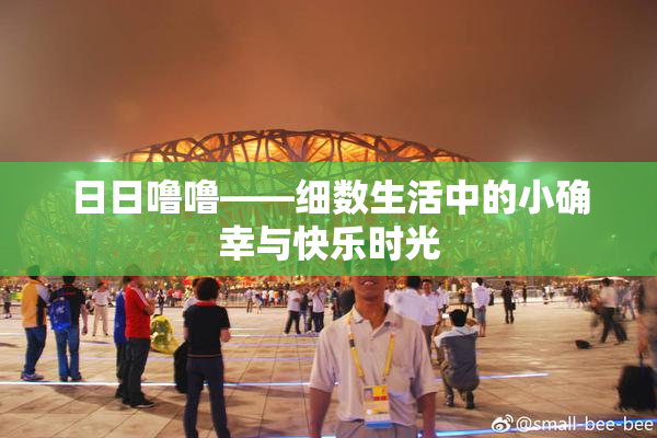 日日噜噜——细数生活中的小确幸与快乐时光