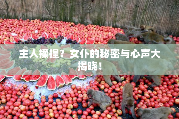 主人揉捏？女仆的秘密与心声大揭晓！