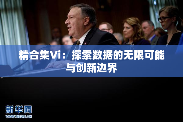 精合集Vi：探索数据的无限可能与创新边界