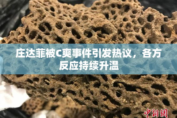 庄达菲被C爽事件引发热议，各方反应持续升温