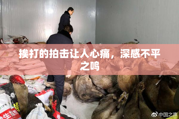 挨打的拍击让人心痛，深感不平之鸣