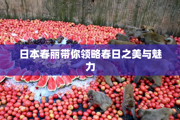 日本春丽带你领略春日之美与魅力