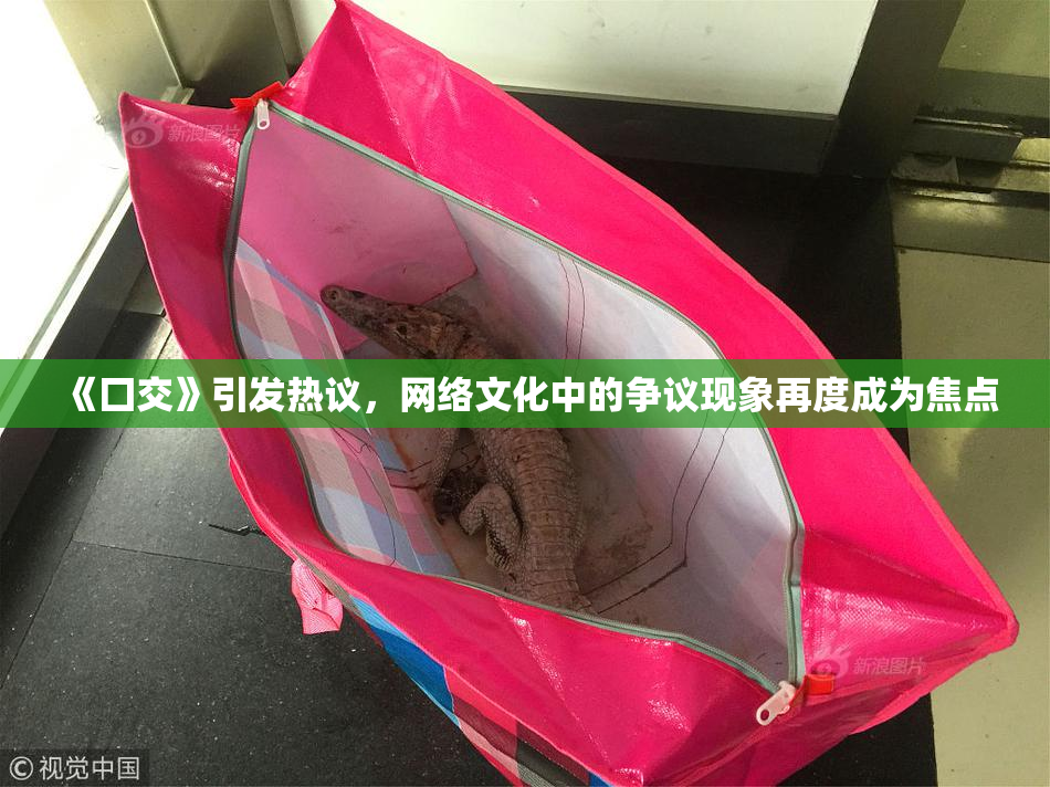 《囗交》引发热议，网络文化中的争议现象再度成为焦点