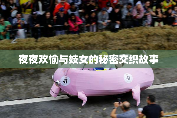 夜夜欢愉与妓女的秘密交织故事