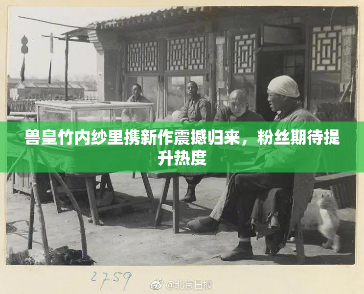 兽皇竹内纱里携新作震撼归来，粉丝期待提升热度
