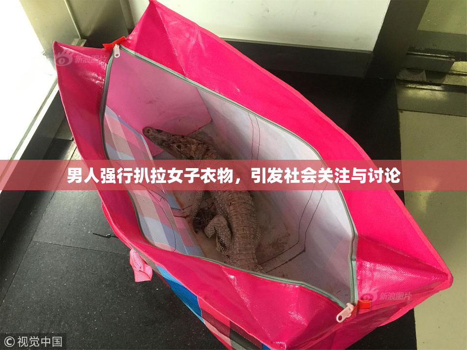 男人强行扒拉女子衣物，引发社会关注与讨论