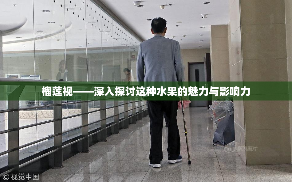 榴莲视——深入探讨这种水果的魅力与影响力