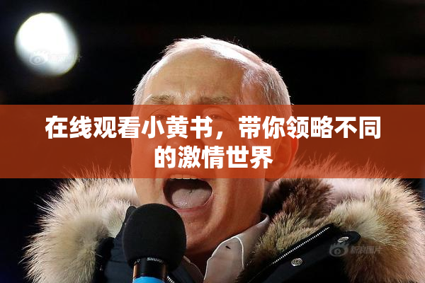 在线观看小黄书，带你领略不同的激情世界