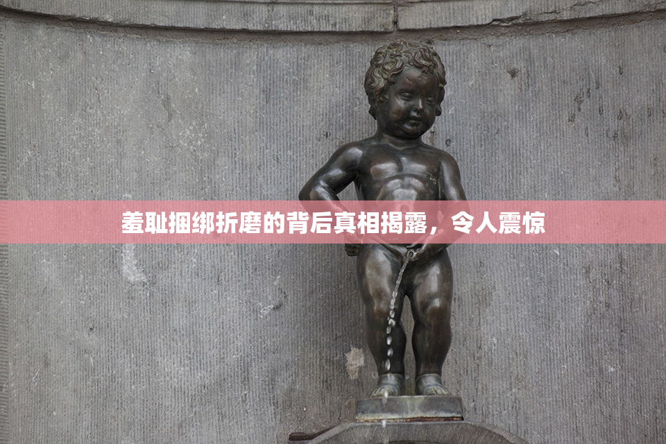 羞耻捆绑折磨的背后真相揭露，令人震惊
