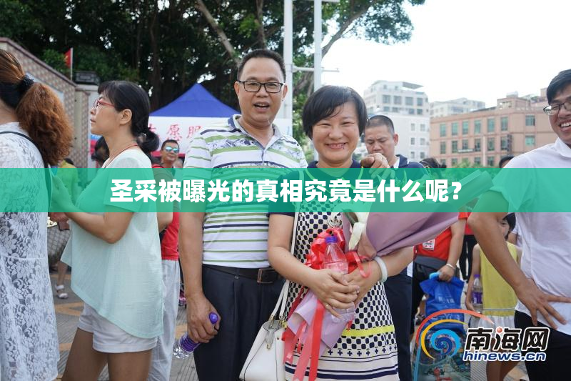圣采被曝光的真相究竟是什么呢？