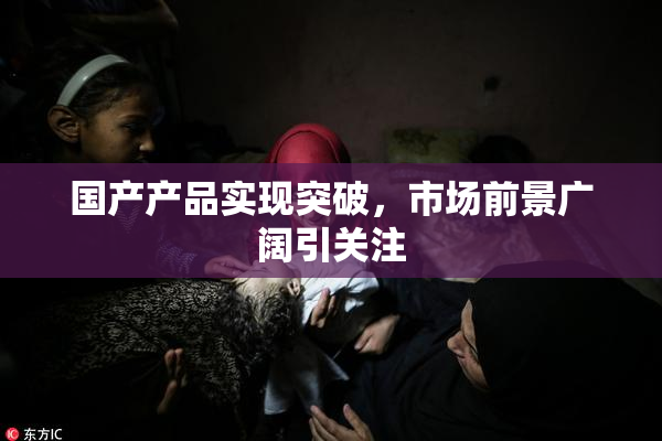 国产产品实现突破，市场前景广阔引关注