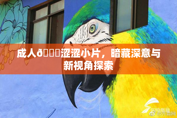成人🔞涩涩小片，暗藏深意与新视角探索