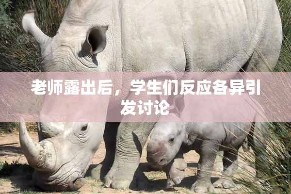 老师露出后，学生们反应各异引发讨论