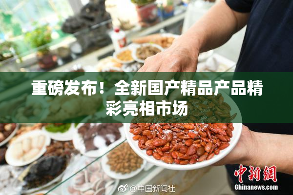 重磅发布！全新国产精品产品精彩亮相市场