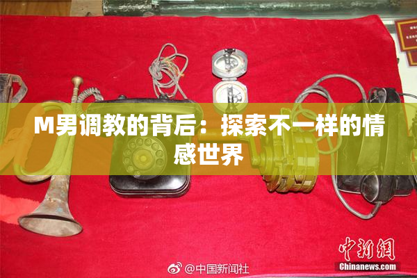 M男调教的背后：探索不一样的情感世界