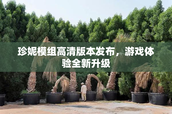 珍妮模组高清版本发布，游戏体验全新升级