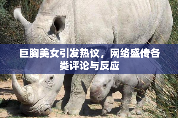 巨胸美女引发热议，网络盛传各类评论与反应