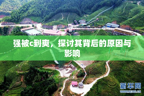 强被c到爽，探讨其背后的原因与影响