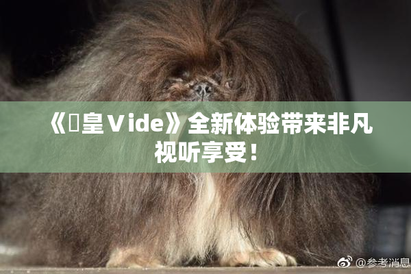 《嘼皇Ⅴide》全新体验带来非凡视听享受！